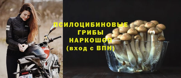 прущий лед Бородино