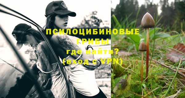 круглые Бронницы